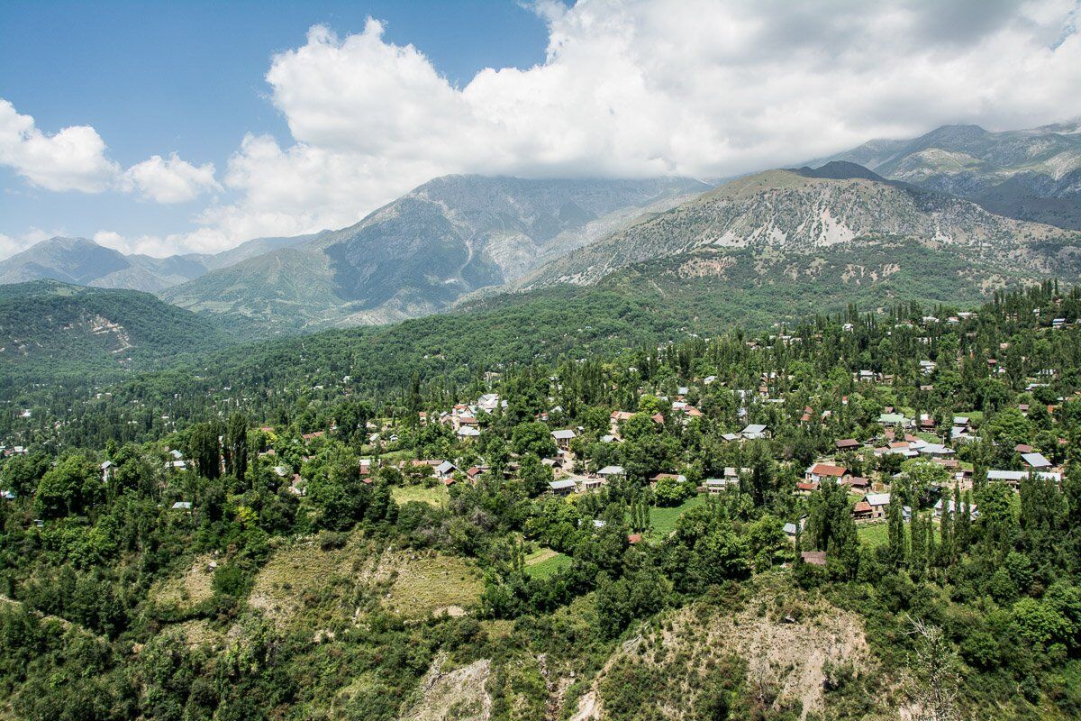 Жалаңаш адеола арио