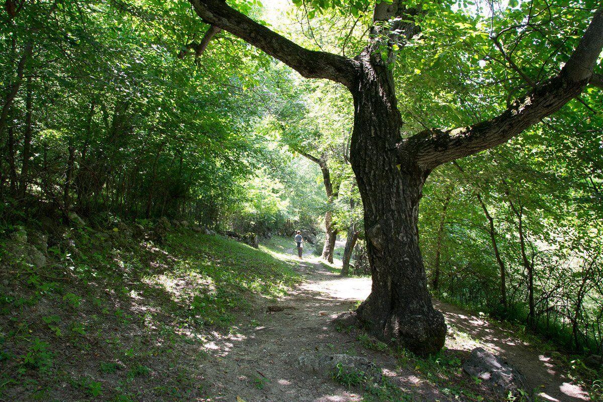 Чела Хорсдал жалаңаш Чела Хорсдал жалаңаш