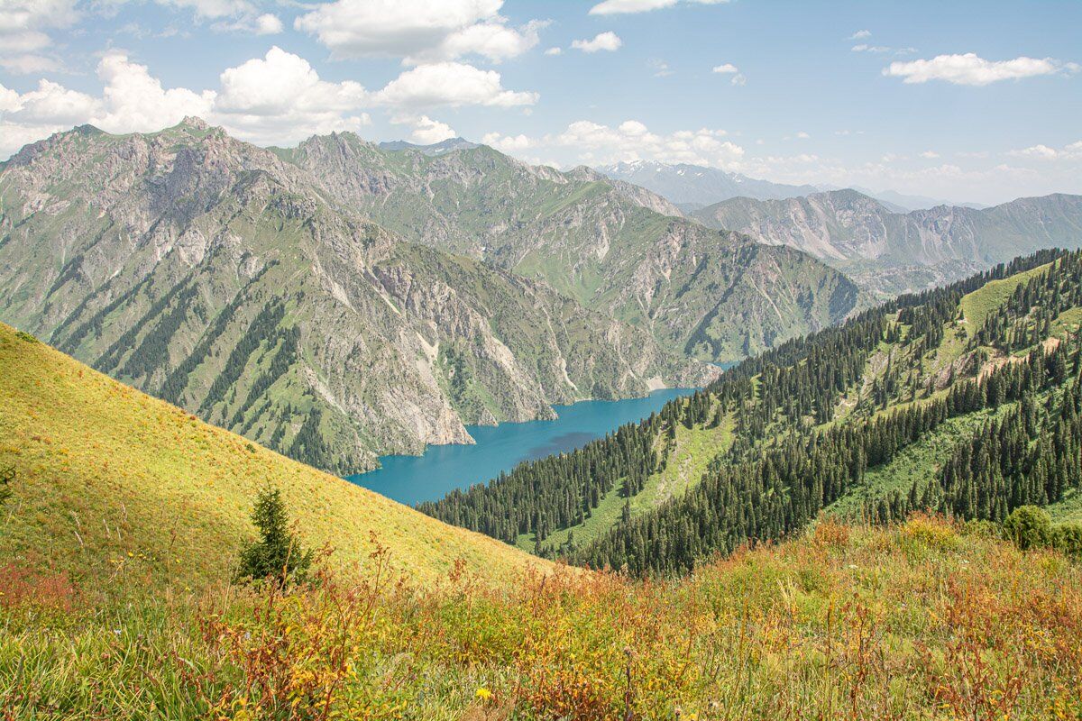 Менің үлкен бөкседегі фотом